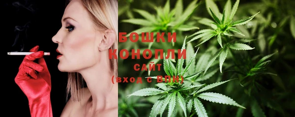 амф Струнино