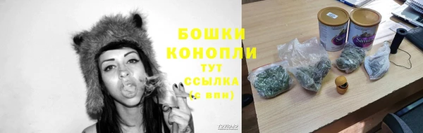 кристаллы Гусев