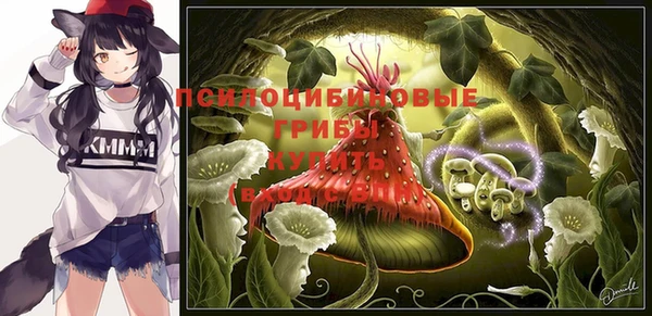 кристаллы Гусев