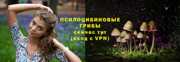 mdma Горнозаводск