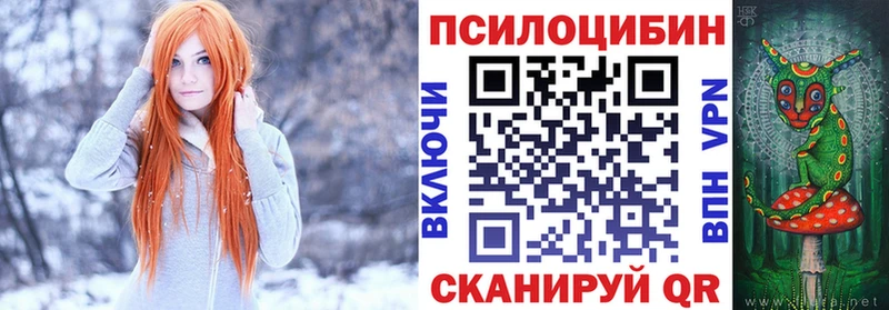 kraken зеркало  где продают   Тверь  Псилоцибиновые грибы Psilocybine cubensis 